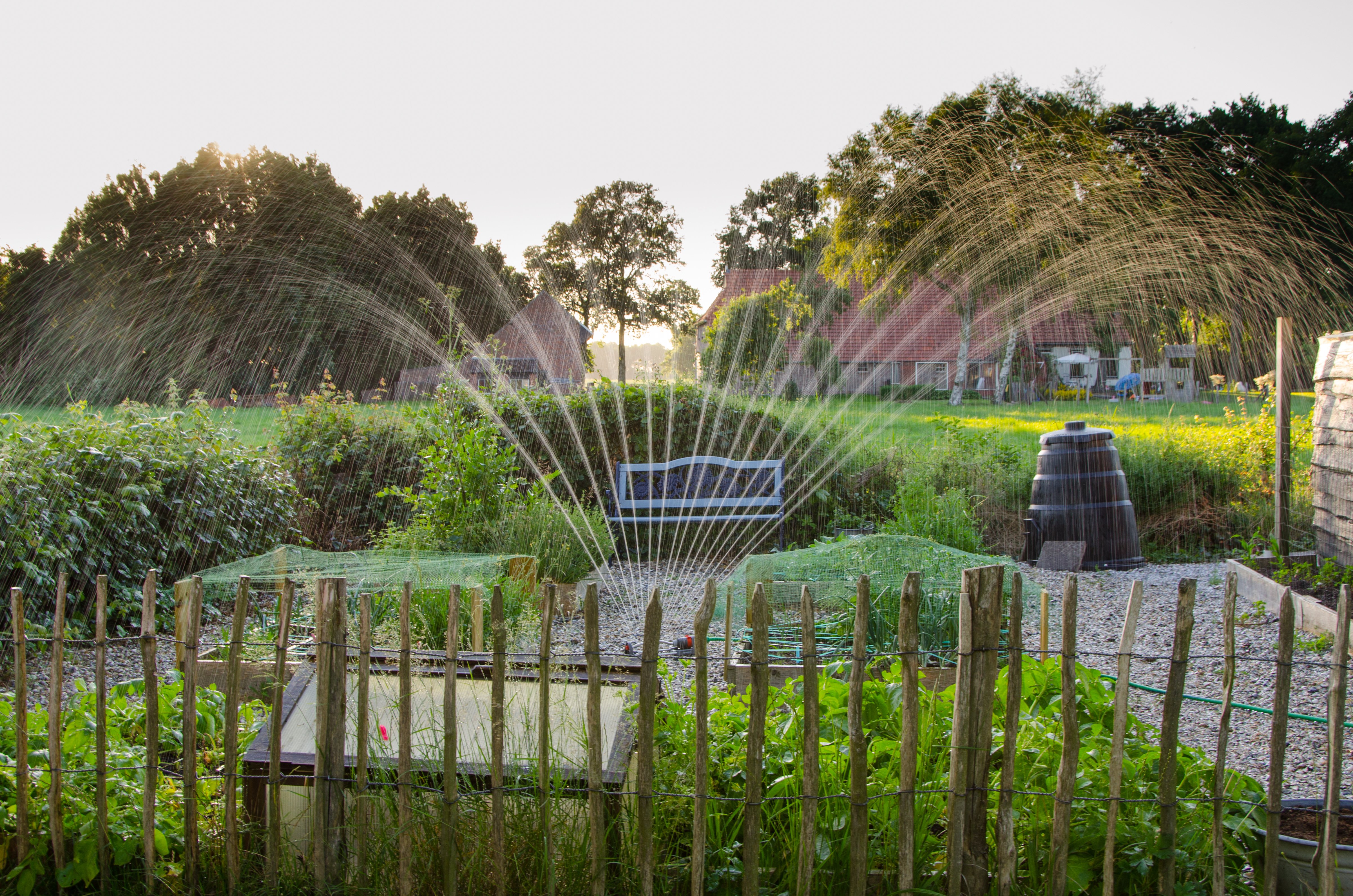 Canva - Photography of Outdoor Water Fountain